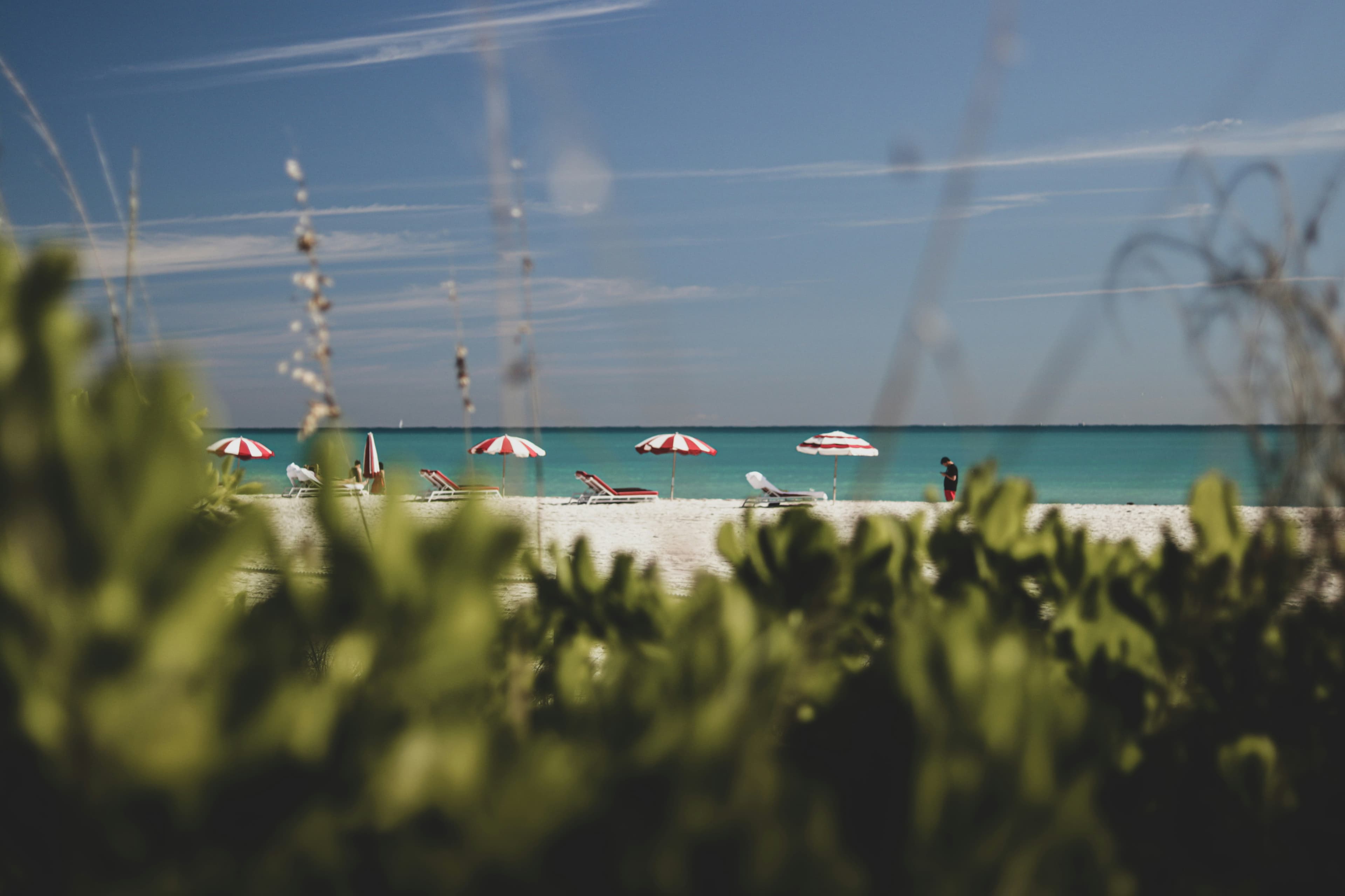 Beach travel still